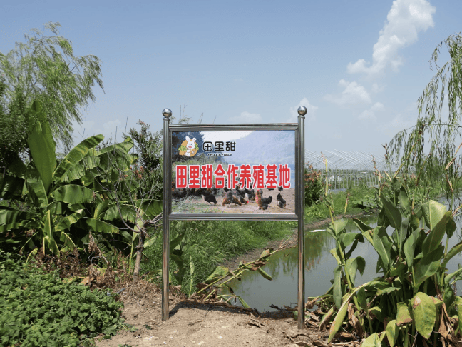 养殖基地