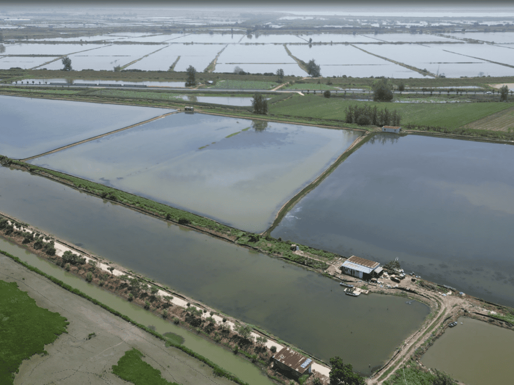 田里甜种植基地航拍