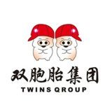 双胞胎集团
